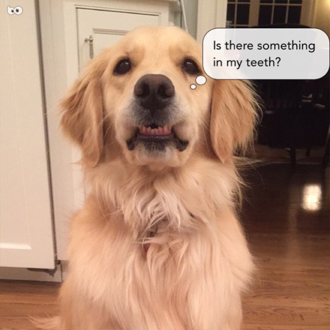  html    head  title 500 Internal Server Error  title   head    body    center  h1 500 Internal Server Error  h1   center    hr  center nginx 1.29.3  center     body     html 